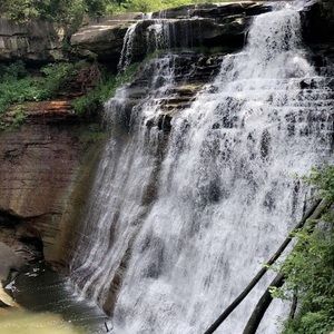 Meet your Posher, Liv